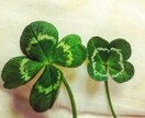 辛いお気持ちを軽く、楽にします 心に寄り添い、あなたが一歩踏み出せるカウンセリング イメージ1