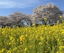 何でも聞きます！石川県の話も歓迎します 人間関係や仕事の愚痴や相談何でも聞きます！世間話や嬉しい事も イメージ1