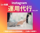 実績作りの特別価格！インスタ運用を丸投げ代行します 個人店様限定！インスタ運用「生存確認」お守りプラン イメージ1