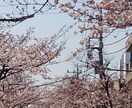 人生が変わる夢分析　人生相談承ります 夢で分かる恋愛運や人間関係　何でも気軽にご相談下さい イメージ1