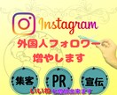 instagram 外国人フォロワー増加させます １０００～１００００人まで対応！いいねも増加出来ます イメージ1