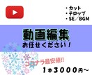 YouTube等の動画編集行います ご提案どおりに動画編集を致します！ イメージ1