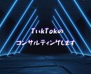 TikTOKコンサルティングします TikTokの最適な運用方法教えます。 イメージ1