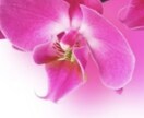 お辛いお気持ちを緩和いたします 誰にも相談できずに一人で悩んでいるあなた様へ イメージ1