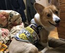 貴方の愚痴、お悩み聞きます 溜め込んでことを吐き出して笑顔になりましょう！ イメージ1
