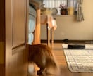 寄り添って悩みや話を聞きます 「ココロの整理整頓」見方を変えて、心を軽くしませんか？ イメージ1