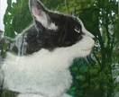 ペットの写真をもとに肖像画を描きます 水彩・油彩・アクリル画。パステルなどお好みの画材で。 イメージ3