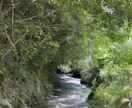 お試し価格　8月末まで写真の加工や修正などをします AI機能を使った写真加工・修正します！！ イメージ2