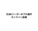 元プロが球速アップするノウハウを指導します 元プロ野球選手があなたに合った指導を致します。 イメージ1