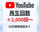YouTube再生回数＋2000回以上宣伝します ショート動画も可能/振り分け可能/カテゴリー最低価格！ イメージ1