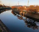 今感じるモヤモヤ、傾聴します 落ち着かない、考え事が多い等々脳の整理一緒にしませんか イメージ1