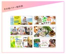 プロが格安で最適なバナーを迅速にデザインいたします 実績5件までの特別価格！素材受取り後48時間以内に初校ご提案 イメージ6