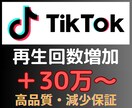 TikTok再生回数30万いいね1000増やします TikTokの再生回数いいねを増やして人気者へ｜格安・高品質 イメージ8