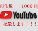 ユーチューブ再生回数1000回増えるまで拡散します アクティブユーザーに集客・拡散します⭐️1週間の減少保証あり イメージ5