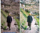 写真レタッチ代行します 大量のお写真もお任せください！ イメージ2