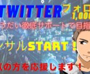 必見！【あなたのTwitter徹底コンサル】します Twitterを伸ばして稼ぎたい方のサポートを致します！ イメージ1