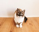 さみしい。誰かとお話したいとき。お話相手になります １分から。どんなお話でも大丈夫です。 イメージ3
