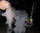 中級者向け、ルアーフィッシングへの第一歩支援します 釣り歴20年の私がルアー釣りのノウハウ伝授します！ イメージ5
