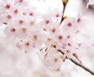 女性限定☆寂しい夜。あなたの孤独感を埋めます ひとりで心細い時。落ち着いた低音ボイスで優しく寄り添います イメージ5