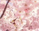安心してお話しください。温かく寄り添い傾聴します 人間関係・仕事の疲れに。否定せず、優しくお話お聴きします。 イメージ4