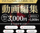 SNS動画等、何でもOK！最安値で動画編集します さまざまなジャンルの動画を丁寧に編集致します！ イメージ1