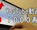 YouTube動画1000回再生拡大いたします YouTube再生回数＋1,000回まで イメージ1