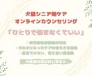 大切なその子と向き合う シニア期ケア相談をします その子のために頑張るあなたの、心を整える時間 イメージ1