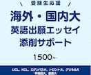難関海外・国内大合格者が出願エッセイを添削します UCL・KCL・トロント大・早稲田・慶應など合格経験あり！！ イメージ1