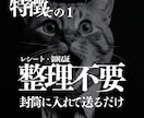 整理不要の記帳代行を提供します 毎月の領収証の整理、帳簿付け、会計仕訳丸ごと請け負います。 イメージ2