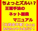 ネット副業を少ないリスクで実践する方法を教えます ちょっとズルいネット副業マニュアル。王道手法がこんなに簡単に イメージ1