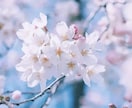 24時間♩お話し相手になります 同性、異性、年齢問いませんっ♡ イメージ3