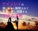 ツインレイの真実の愛に覚醒する宇宙の法則伝授します ツインレイの苦しみから解放されて真実の愛に覚醒する宇宙の法則 イメージ1