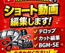 ショートやTikTokテンポよく見やすく編集します ショートTikTokなどの縦動画を見やすく編集します！ イメージ1