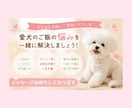愛犬のご飯選び、優しくサポートします 愛犬の体質に合うご飯選びをサポートします イメージ5