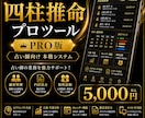 四柱推命プロツールを販売します 占い師向け本格鑑定支援システム イメージ1