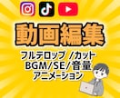 初回様3000円！丸投げOK!動画編集致します 丁寧、確実に！あなたの意見に沿った動画を編集します！ イメージ1