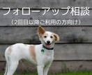 2回目以降ご利用の方☆フォロ－アップいたします 前回の続き・進捗確認・追加アドバイス、ご質問にご利用ください イメージ1