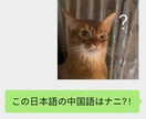 中国語（簡体字・繁体字）と日本語の翻訳します 自然な中国語・日本語に翻訳！気軽く相談してください イメージ1
