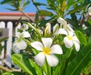 タイ移住・賃貸前の現地確認や周辺調査を代行します ラーチャブリー在住｜騒音・治安・生活環境などリアルに確認 イメージ10