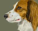 細部までこだわり生命感溢れるペット似顔絵を描きます デジタルでハッキリと、鉛筆ペンでアナログみたいに イメージ2