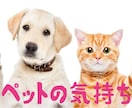 あなたの家族でもあるペットの気持ちを視ます キミは何を思っているの？幸せ？ イメージ1