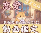 動画でお届け◎本気で恋を叶えたい人占います 本気で彼のことが好きなら★あなただけに語りかけるタロット占い イメージ1