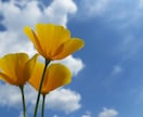 失恋/愛する人の心を取り戻す/理想の恋を叶えます 片想い·復縁·関係改善·理想の出会い！願いと運命を引き寄せる イメージ3