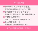 InstagramDM代行｜手動で丁寧に送信します アルゴリズムを活かしたDMで効果的に集客！ イメージ4