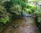 迷いの心に愛の鉄剣！厳しくも温かい御言葉で導きます サナトクマラ、毘沙門天、千手観音、光のメッセージ イメージ3
