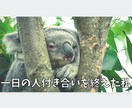 モテ効果抜群❤️笑うことであなたの魅力アップします 毎日ポジティブ⭐️心を明るく前向きにして幸運を引き寄せましょ イメージ6