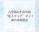 占星術＆生命の樹”私スイッチ”オン魂の本質読みます 本当の私やっと見つけた、そんな言葉があなたの未来から聞こえる イメージ1