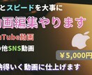 丁寧とスピードを大事に動画編集承ります コミュニケーションを重視して、納得のいく動画に仕上げます イメージ1