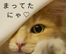 1曲だけでも♪あなたの歌や弾き語りなどお聞きします 歌が大好きな方♪一緒に楽しみませんか？/話し相手/趣味/音楽 イメージ7