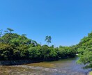 あなたを守護する存在からの言葉を届けます お悩みについての癒し、励ましのメッセージ、アドバイスです。 イメージ1